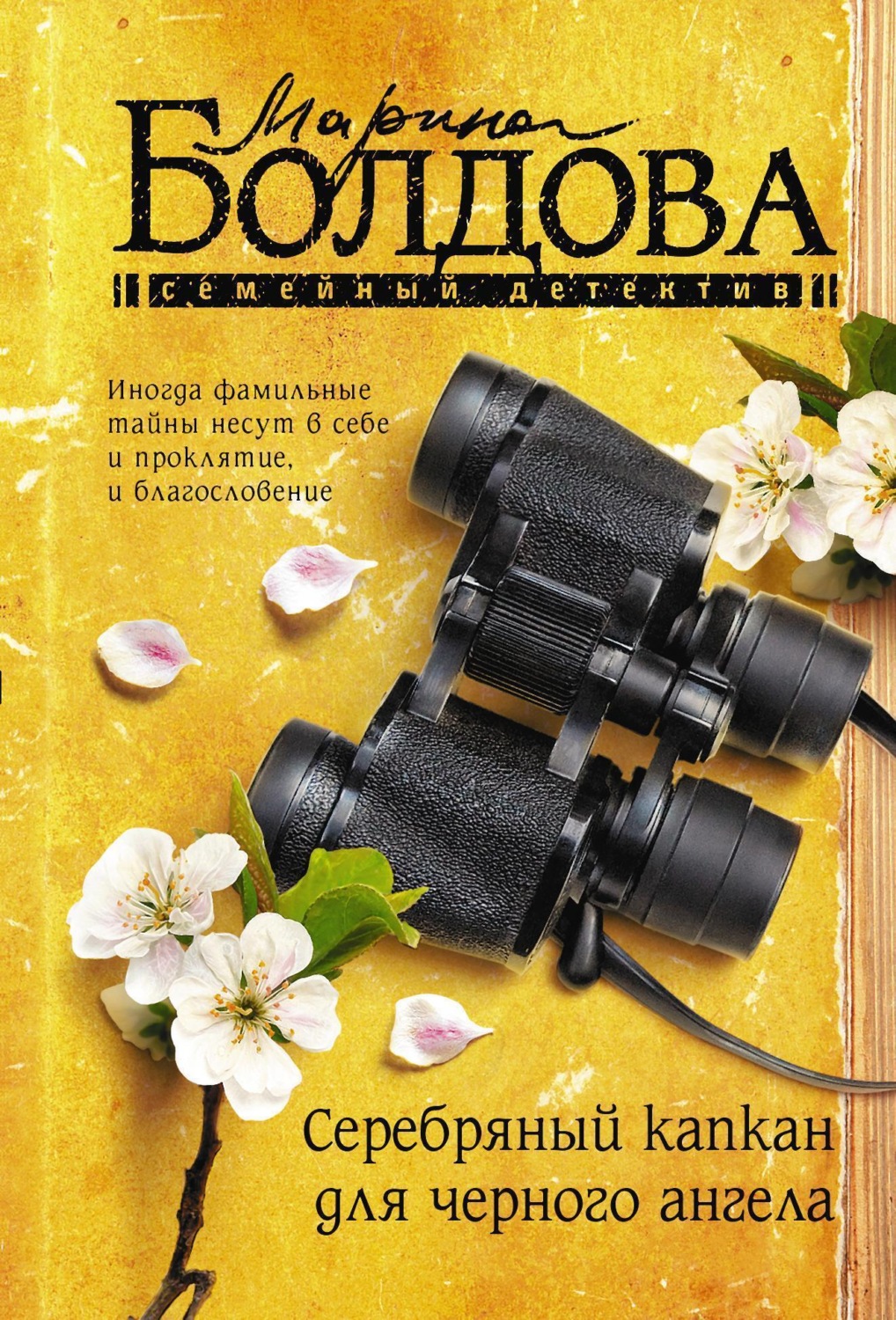 Обложка книги «Серебряный капкан для черного ангела»