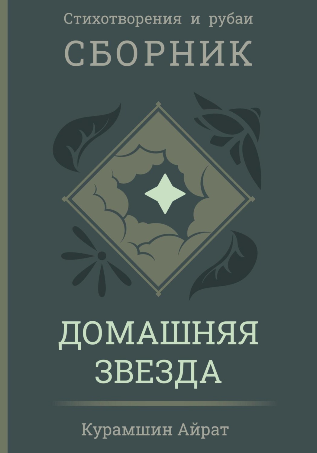 Обложка книги «Домашняя звезда»