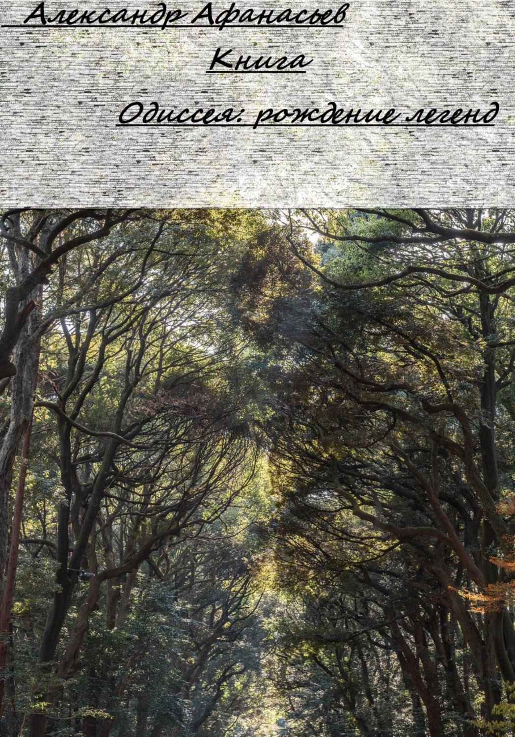 Обложка книги «Одиссея: Рождение легенд»