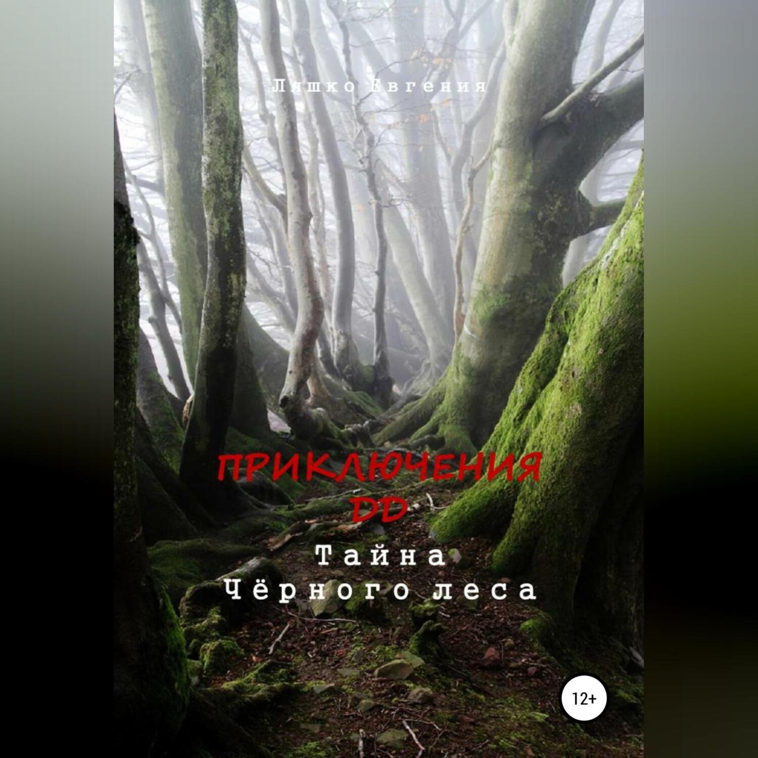 Обложка книги «Приключения ДД. Тайна Чёрного леса»