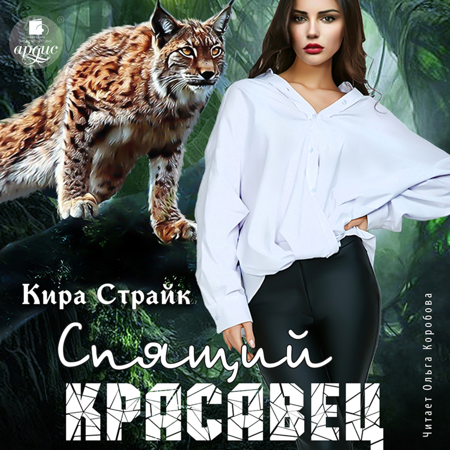 Обложка книги «Спящий красавец»