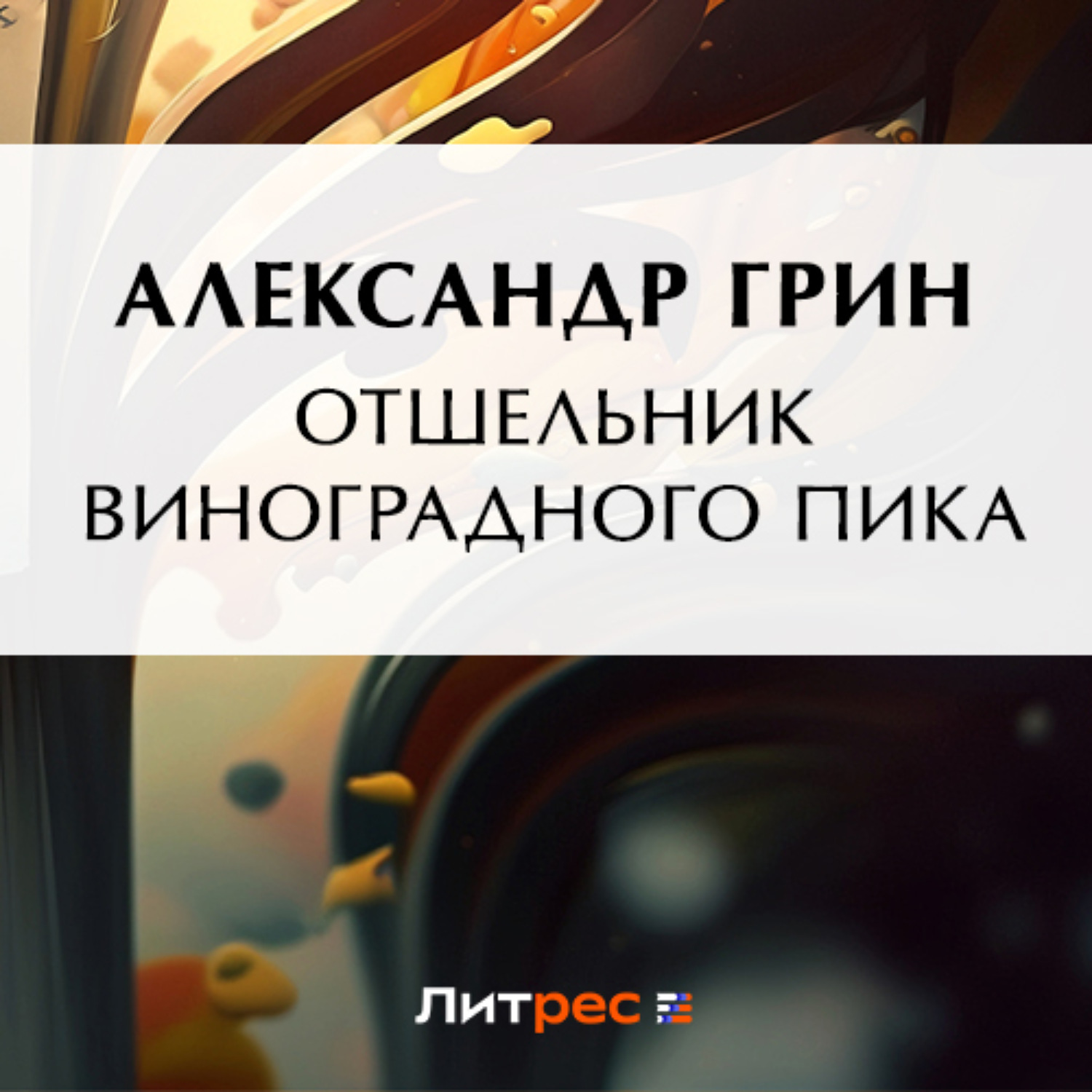 Обложка книги «Отшельник Виноградного пика»