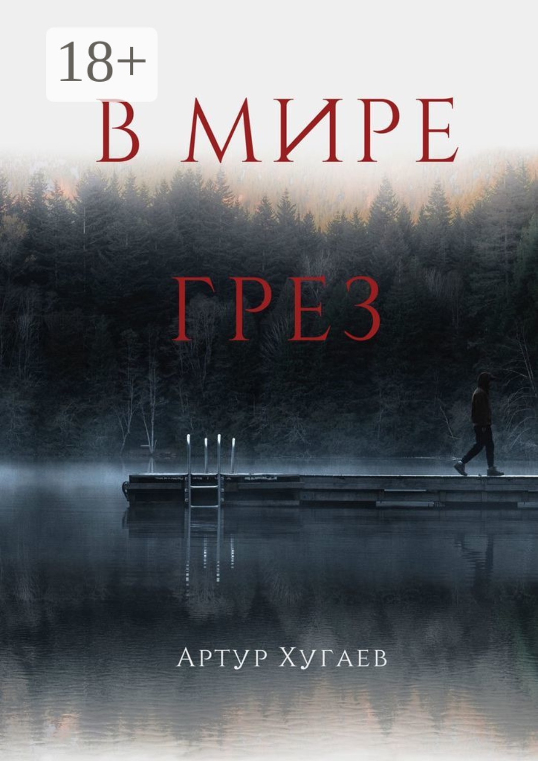 Обложка книги «В мире грёз. Тело хочет спать, душа летать, а жизнь вынуждает идти…»
