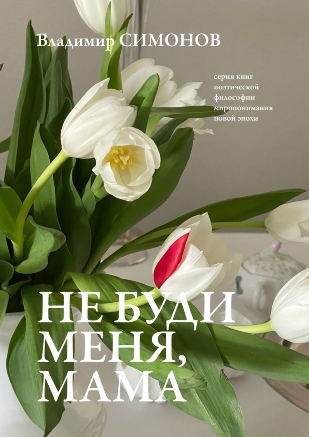 Обложка книги «Не буди меня, мама. Серия книг поэтической философии миропонимания новой эпохи»