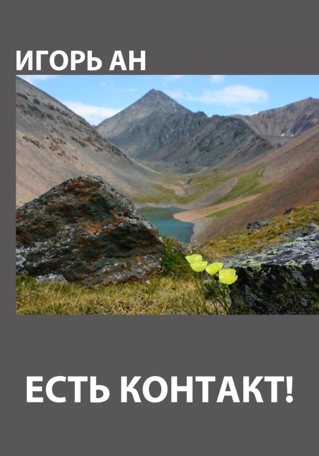 Обложка книги «Есть контакт!»