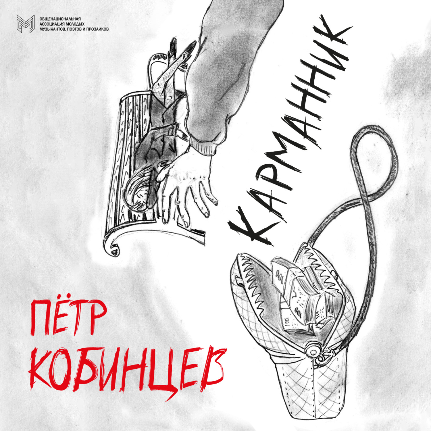 Обложка книги «Карманник»
