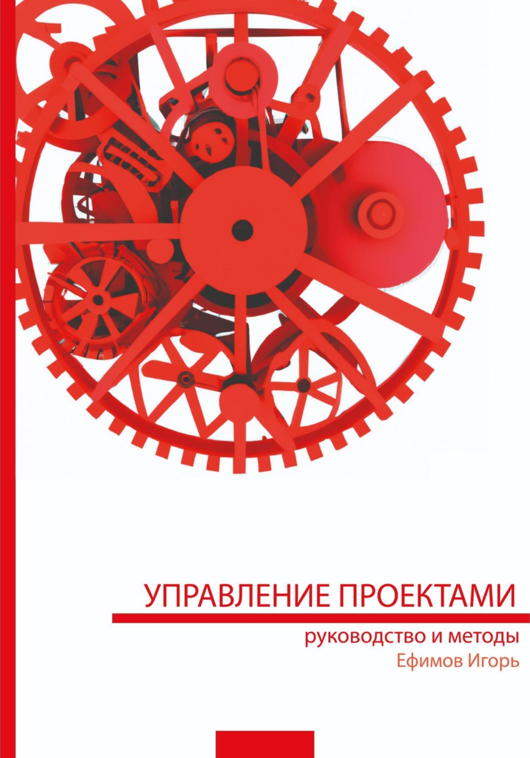 Обложка книги «Управление проектами: руководство и методы»