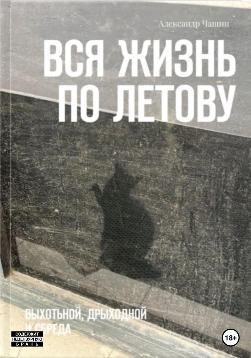 Обложка книги «Вся жизнь по Летову. Выхотьной, дрыходной и сбреда»