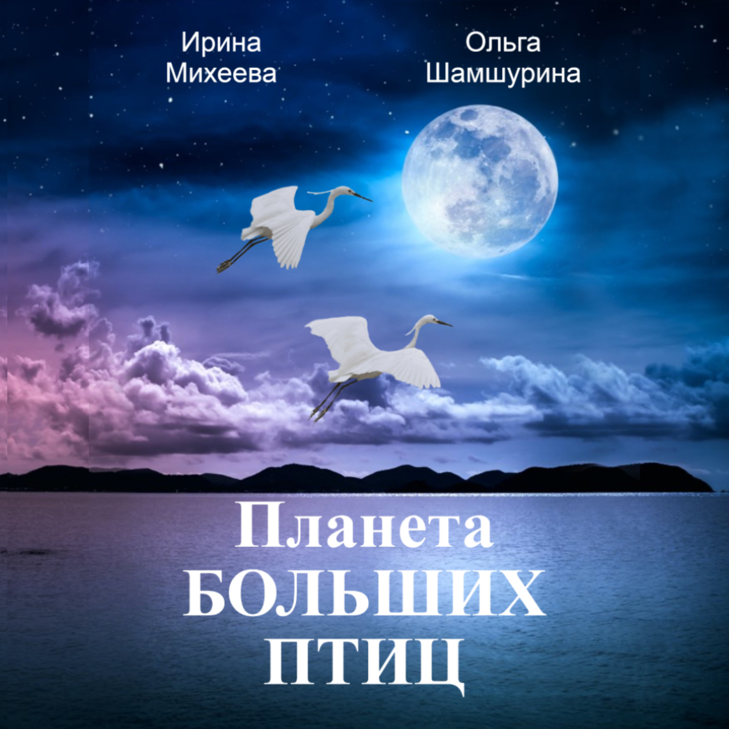 Обложка книги «Планета Больших Птиц»
