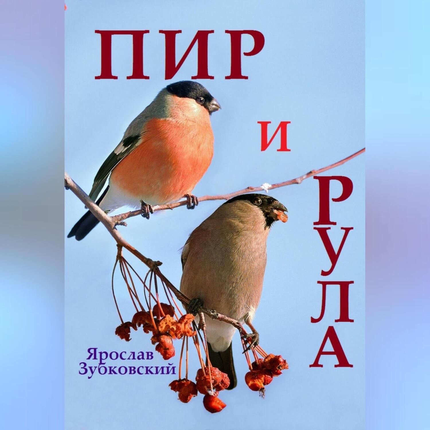 Обложка книги «Пир и Рула»