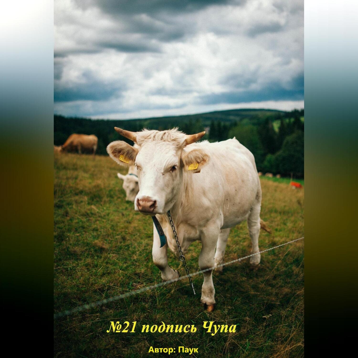 Обложка книги «№21 подпись чупа»