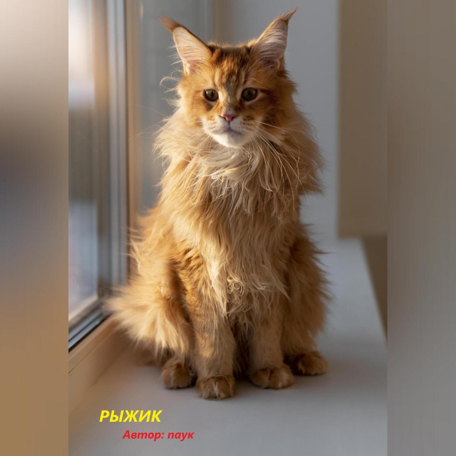 Обложка книги «Рыжик»