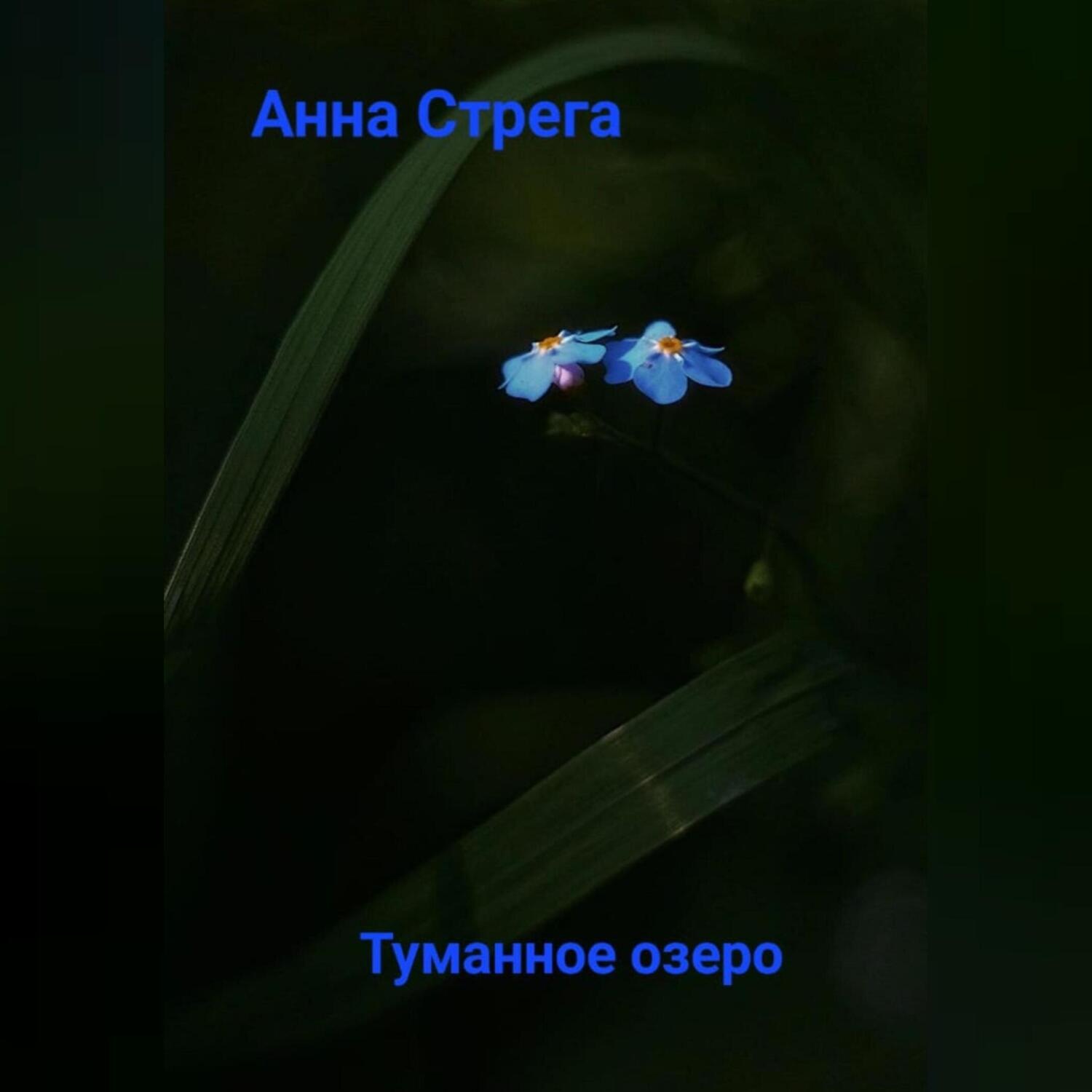 Обложка книги «Tуманное озеро»