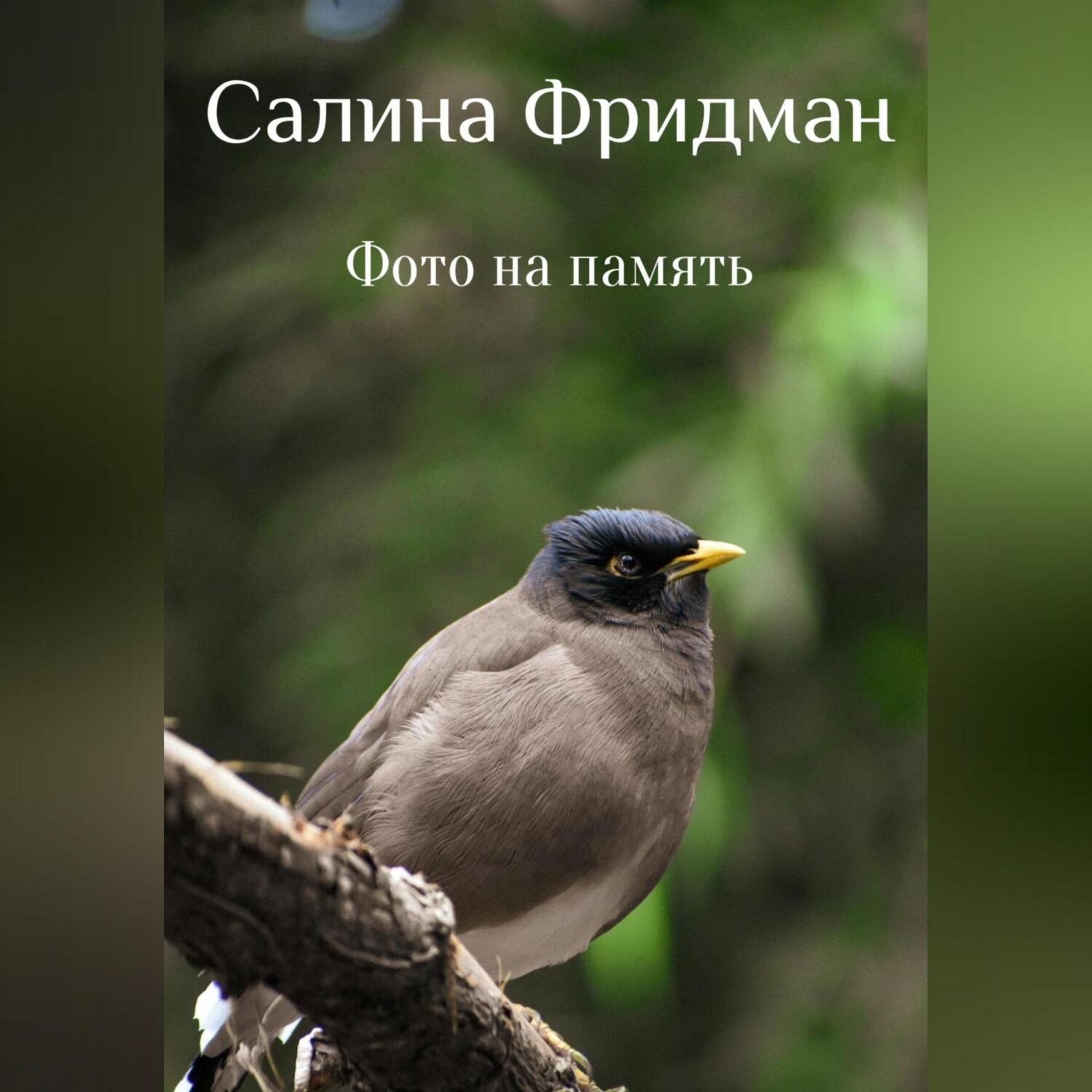 Обложка книги «Фото на память»
