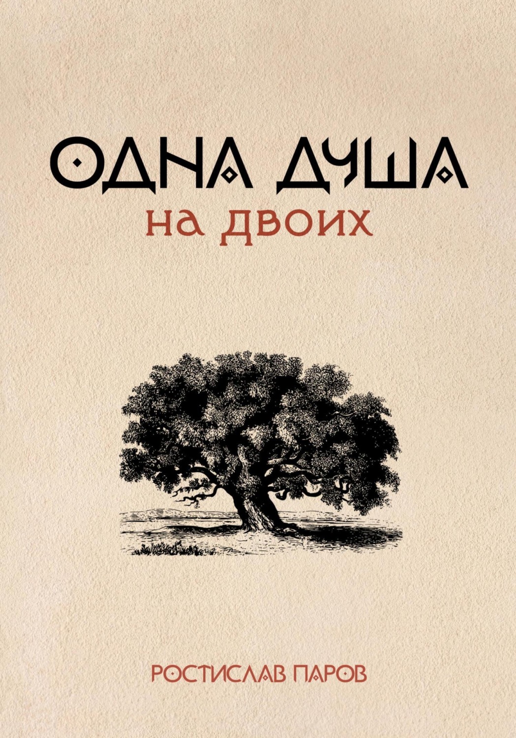 Обложка книги «Одна душа на двоих»