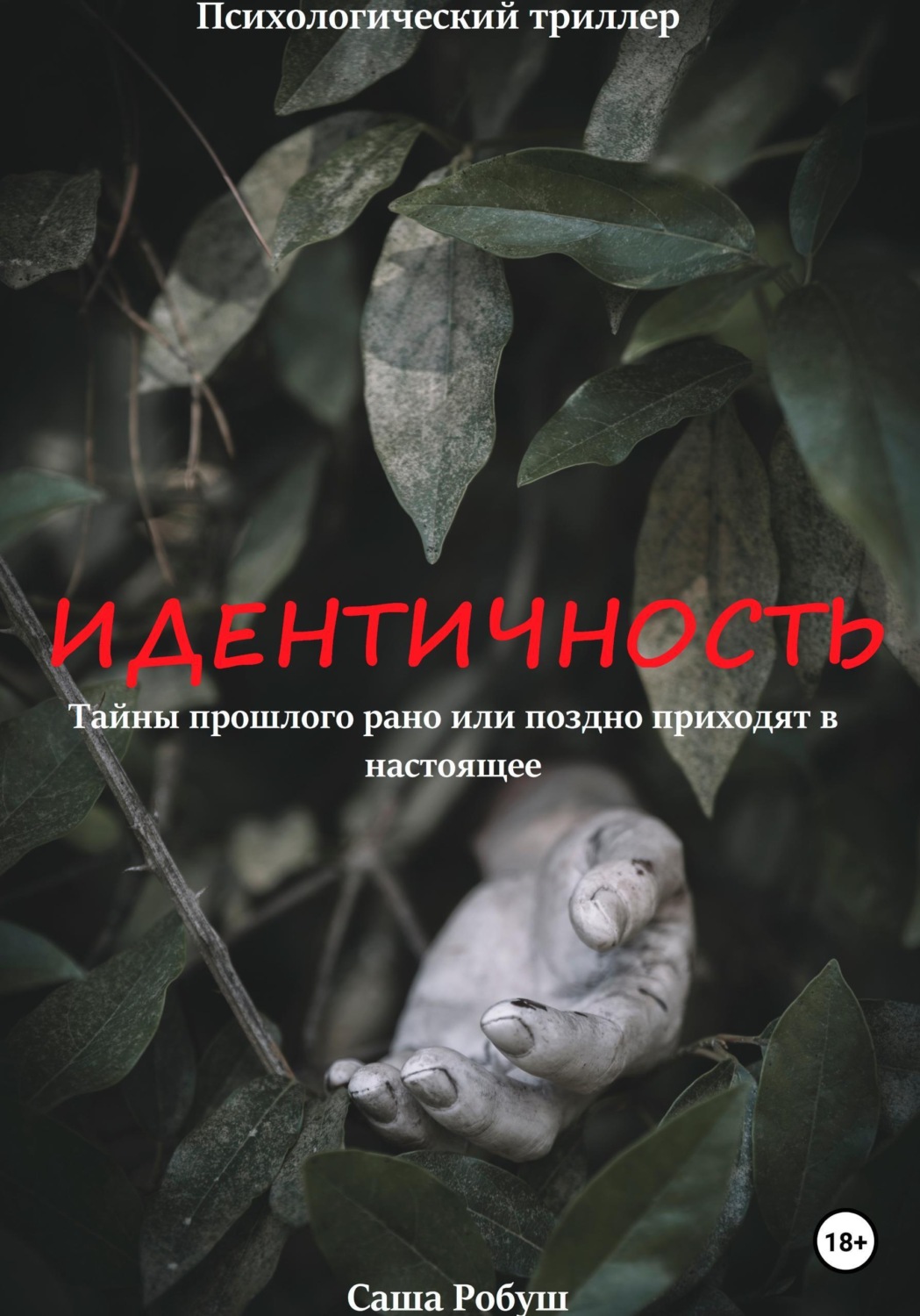 Обложка книги «Идентичность»