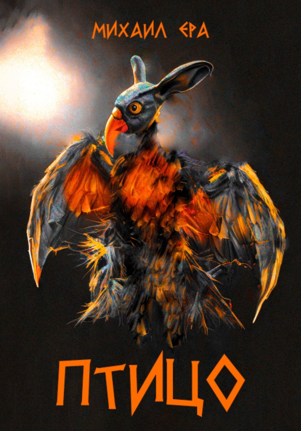 Обложка книги «Птицо»