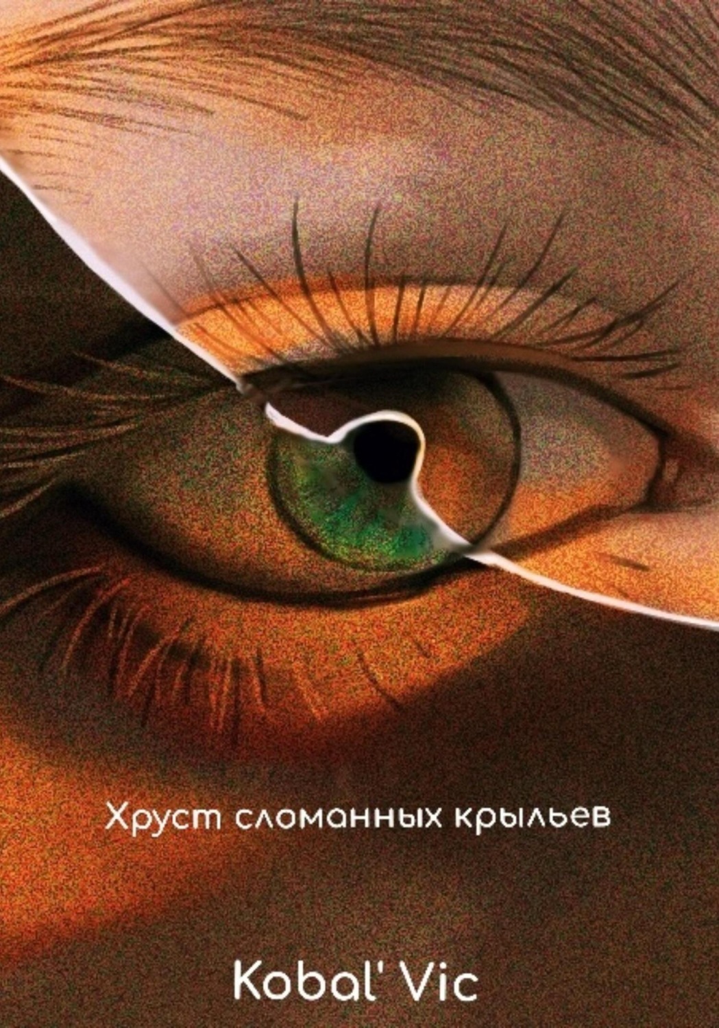 Обложка книги «Хруст сломанных крыльев»