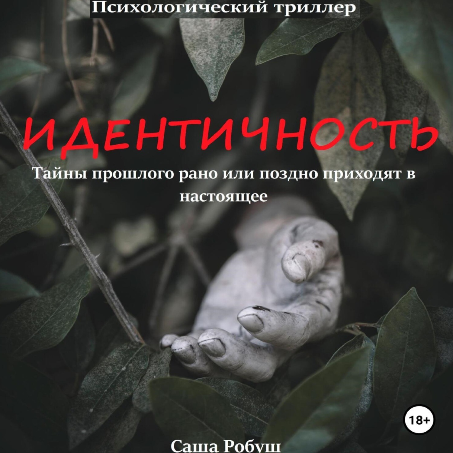 Обложка книги «Идентичность»