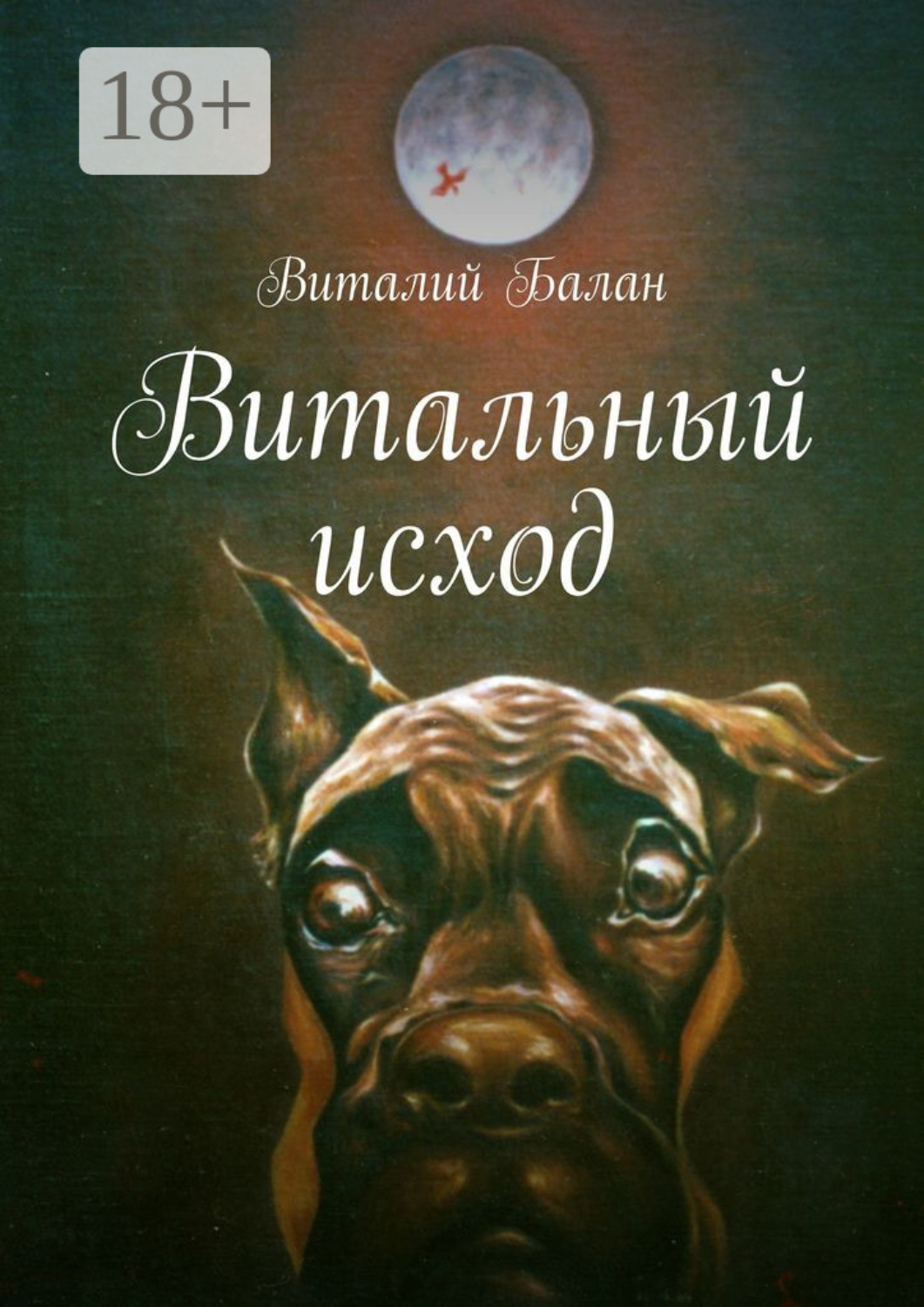 Обложка книги «Витальный исход»