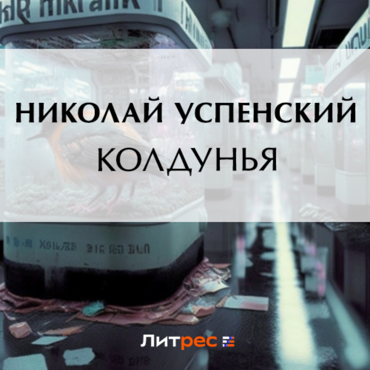 Обложка книги «Колдунья»