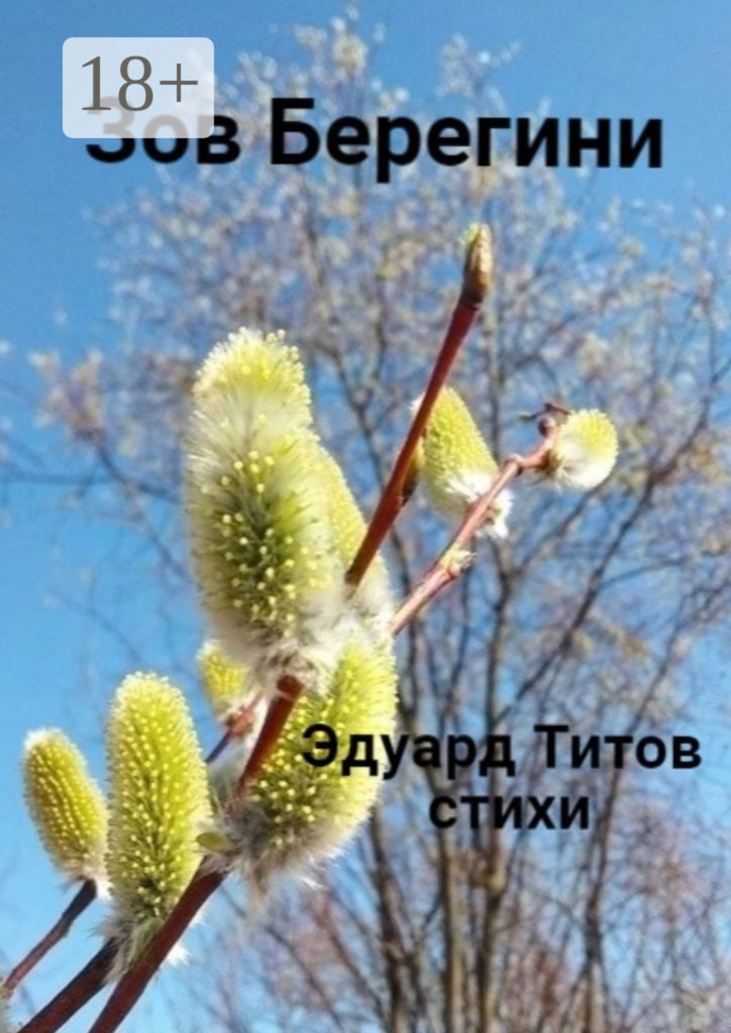 Обложка книги «Зов Берегини»