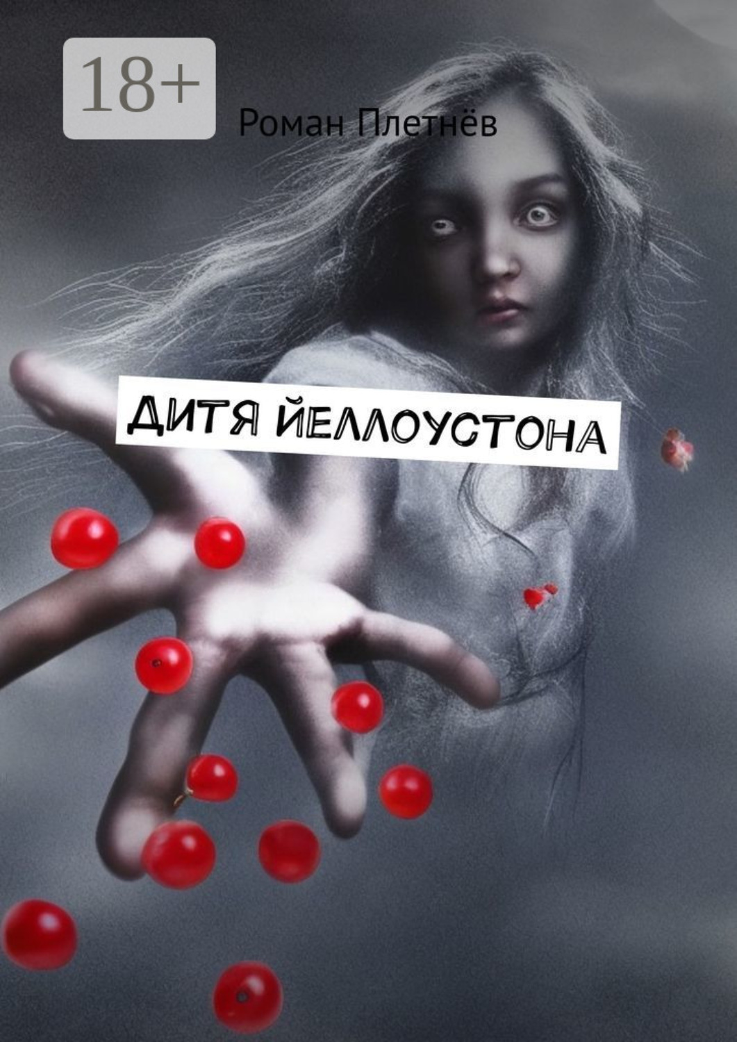 Обложка книги «Дитя Йеллоустона»