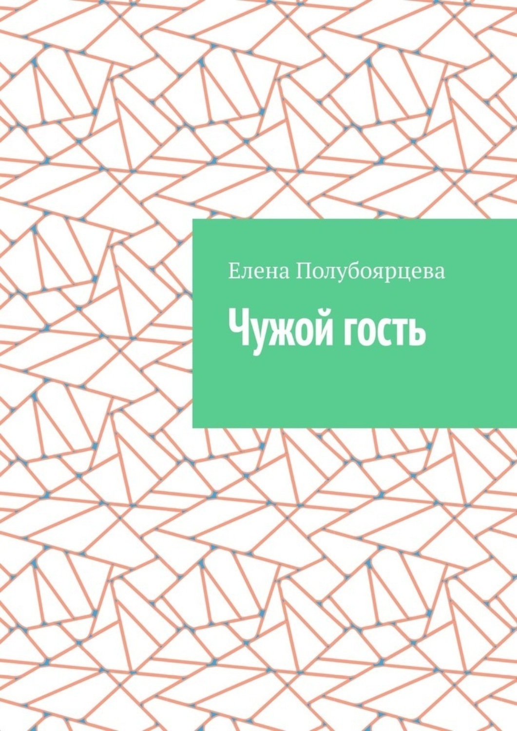 Обложка книги «Чужой гость»