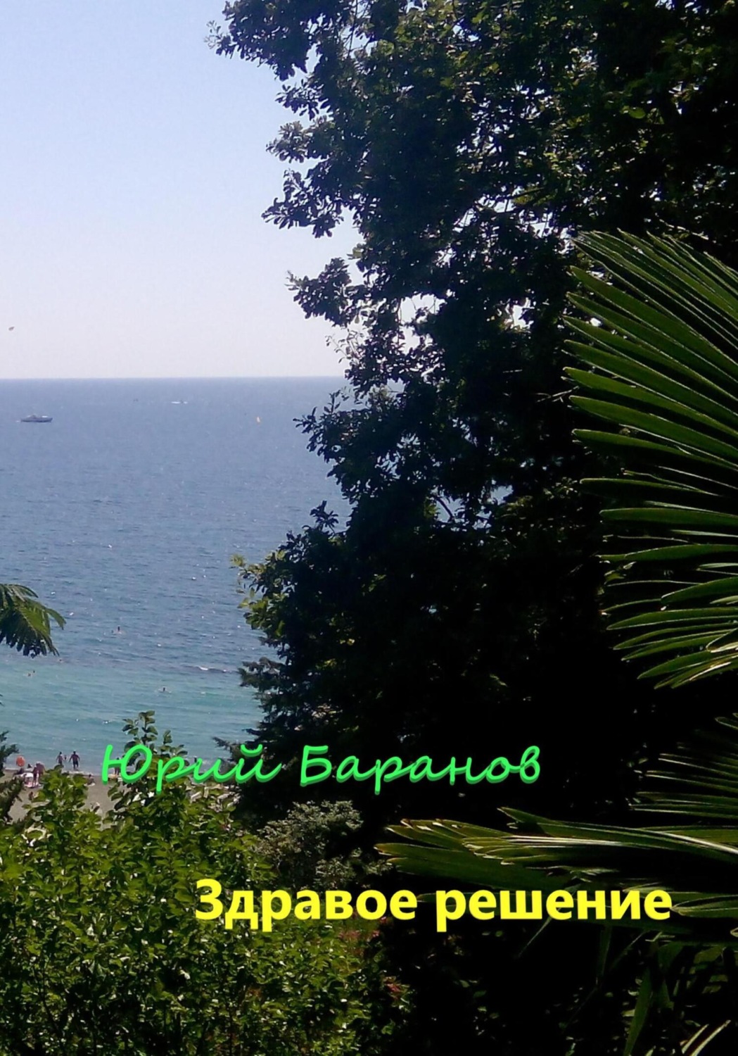 Обложка книги «Здравое решение»