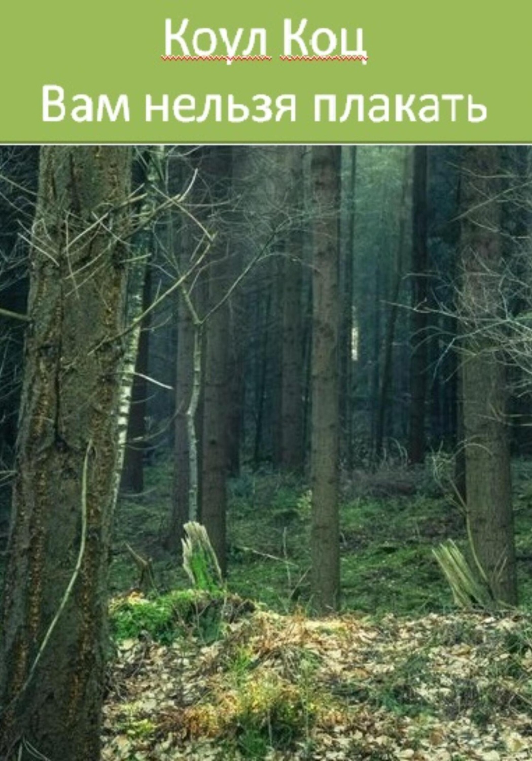 Обложка книги «Вам нельзя плакать»