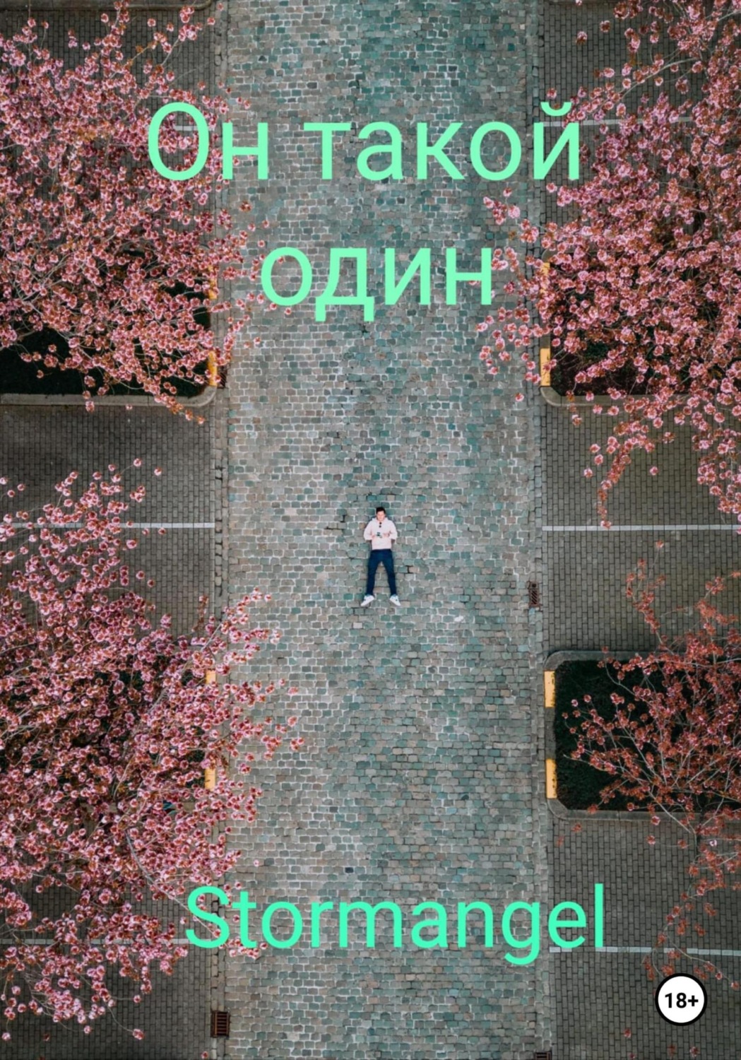 Обложка книги «Он такой один»