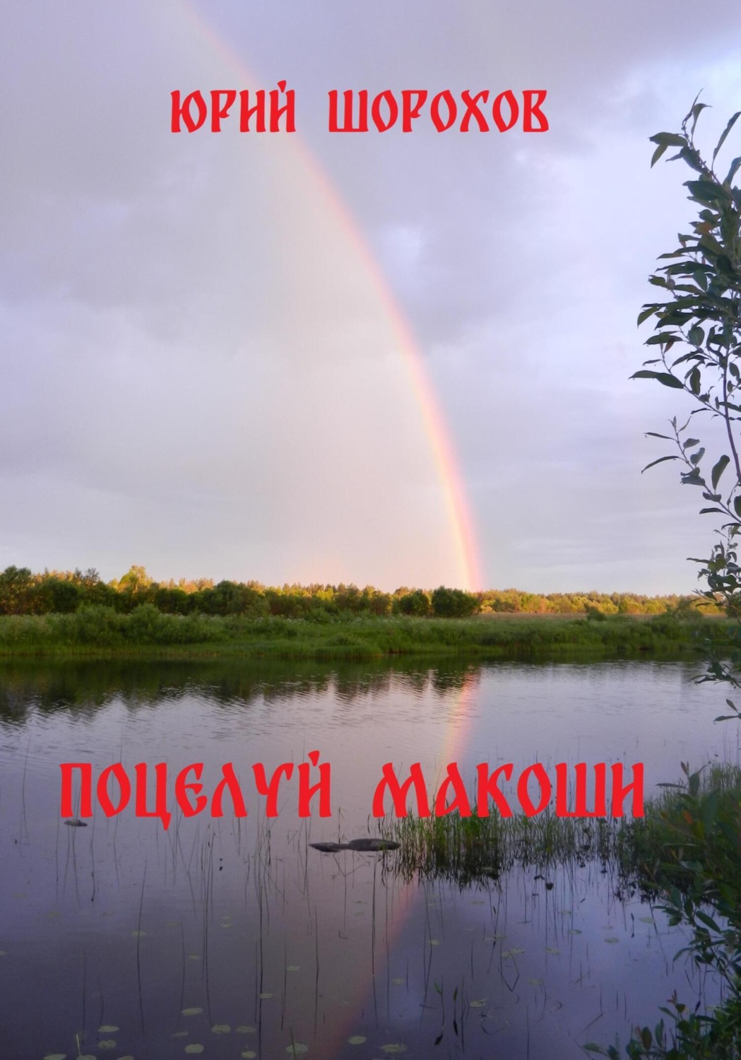 Обложка книги «Поцелуй Макоши»