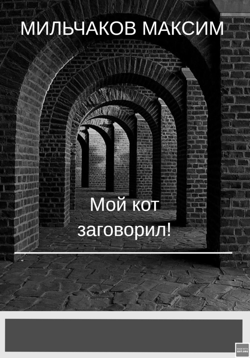Обложка книги «Мой кот заговорил»