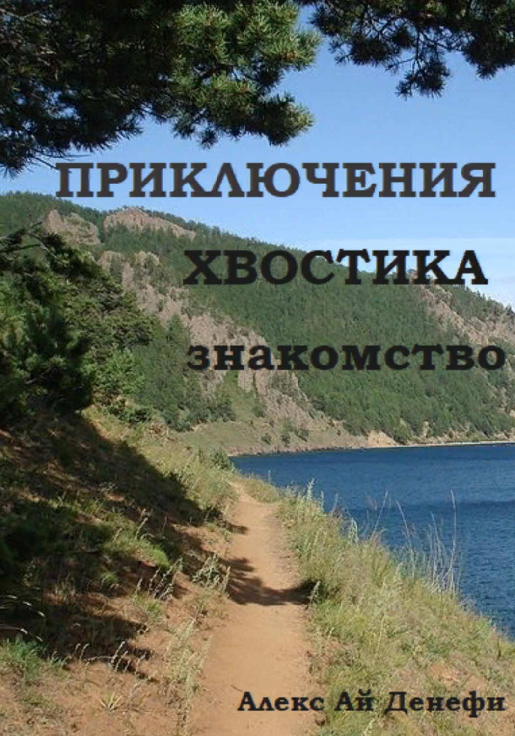 Обложка книги «Приключения Хвостика. Знакомство»
