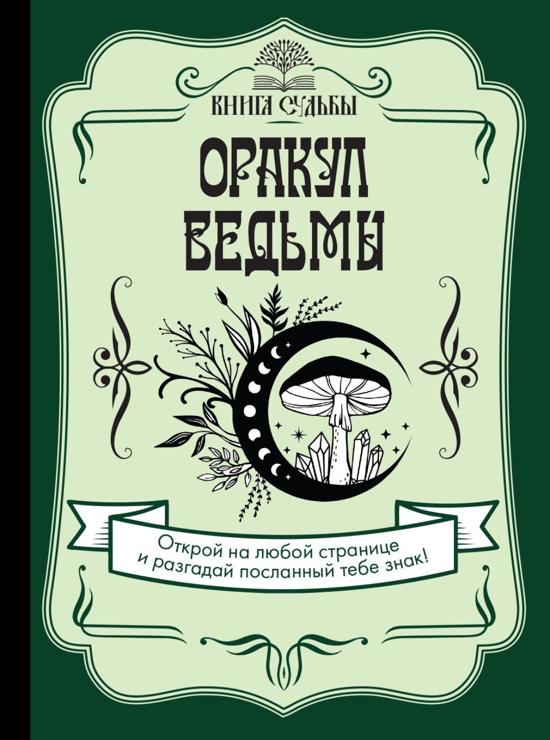 Обложка книги «Оракул ведьмы»