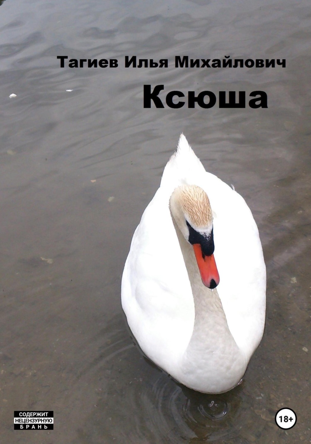Обложка книги «Ксюша»