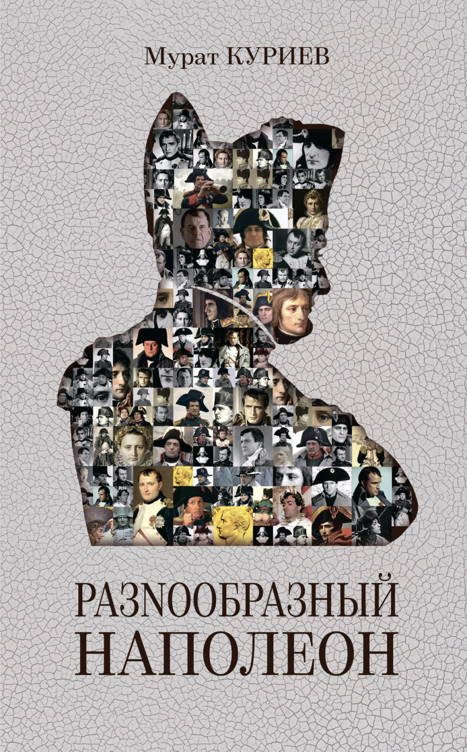 Обложка книги «РазNообразный Наполеон»