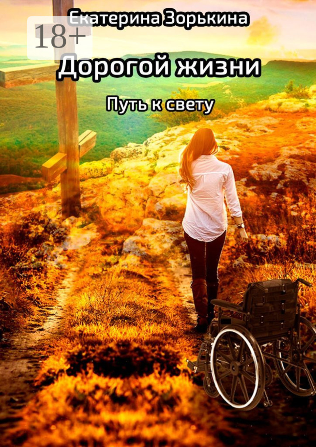 Обложка книги «Дорогой жизни: путь к свету»