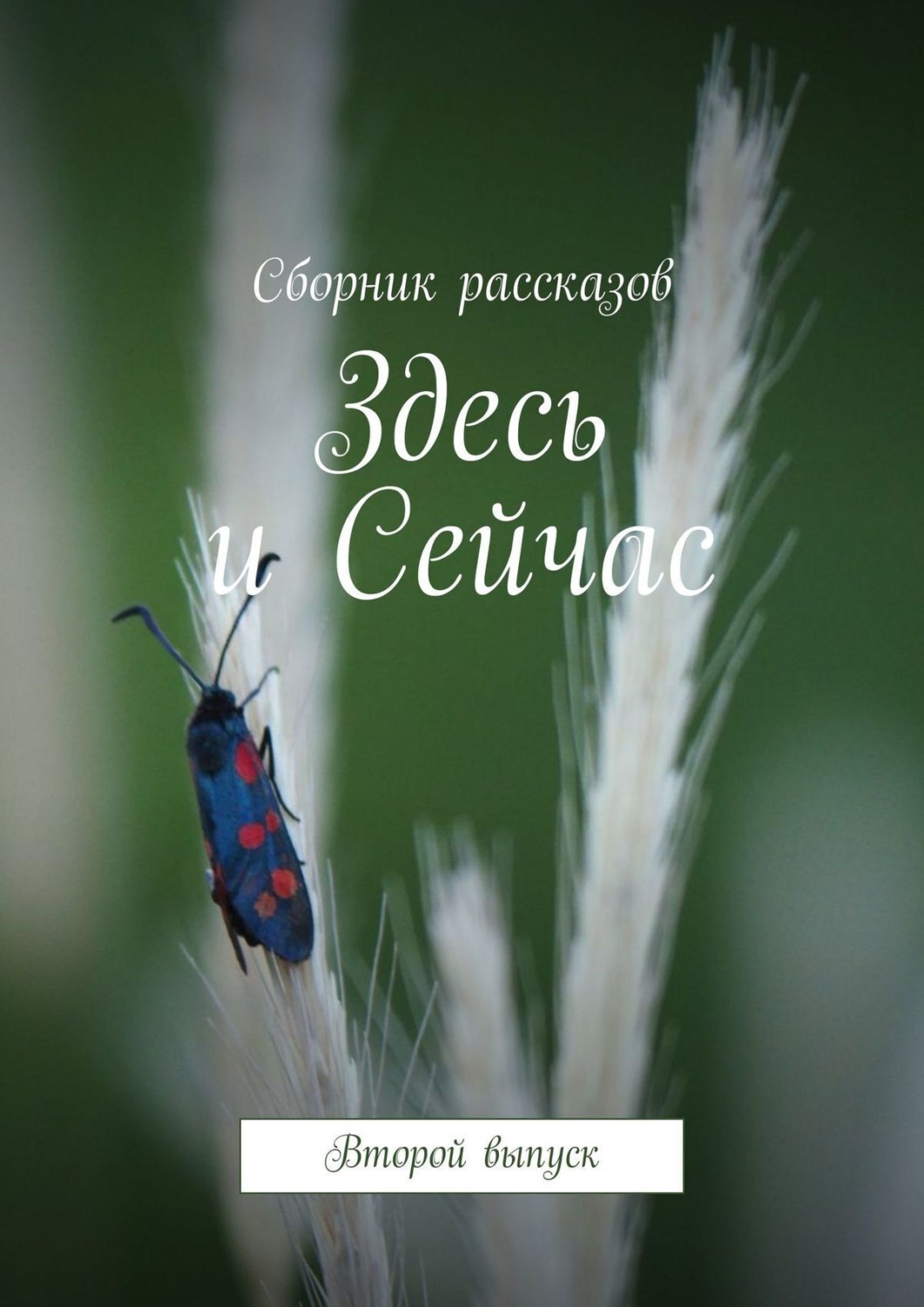 Обложка книги «Здесь и Сейчас. Второй выпуск»
