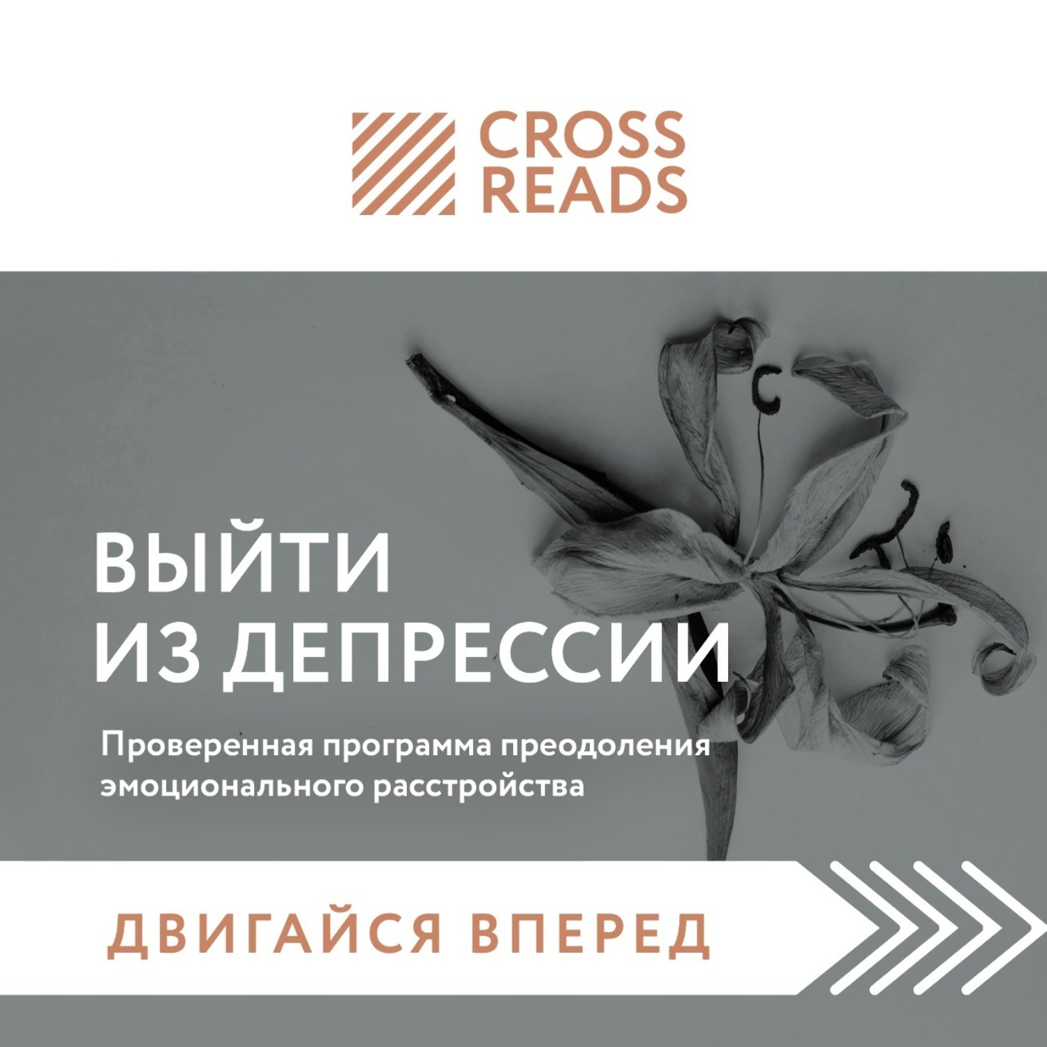 Обложка книги «Саммари книги «Выйти из депрессии. Проверенная программа преодоления эмоционального расстройства»»