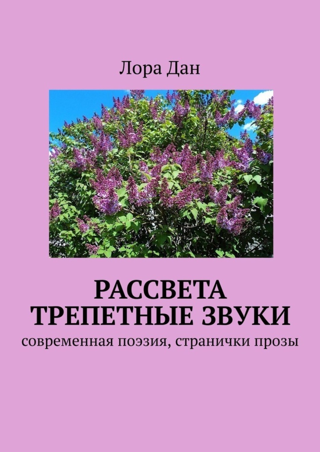 Обложка книги «Рассвета трепетные звуки. Cовременная поэзия, странички прозы»