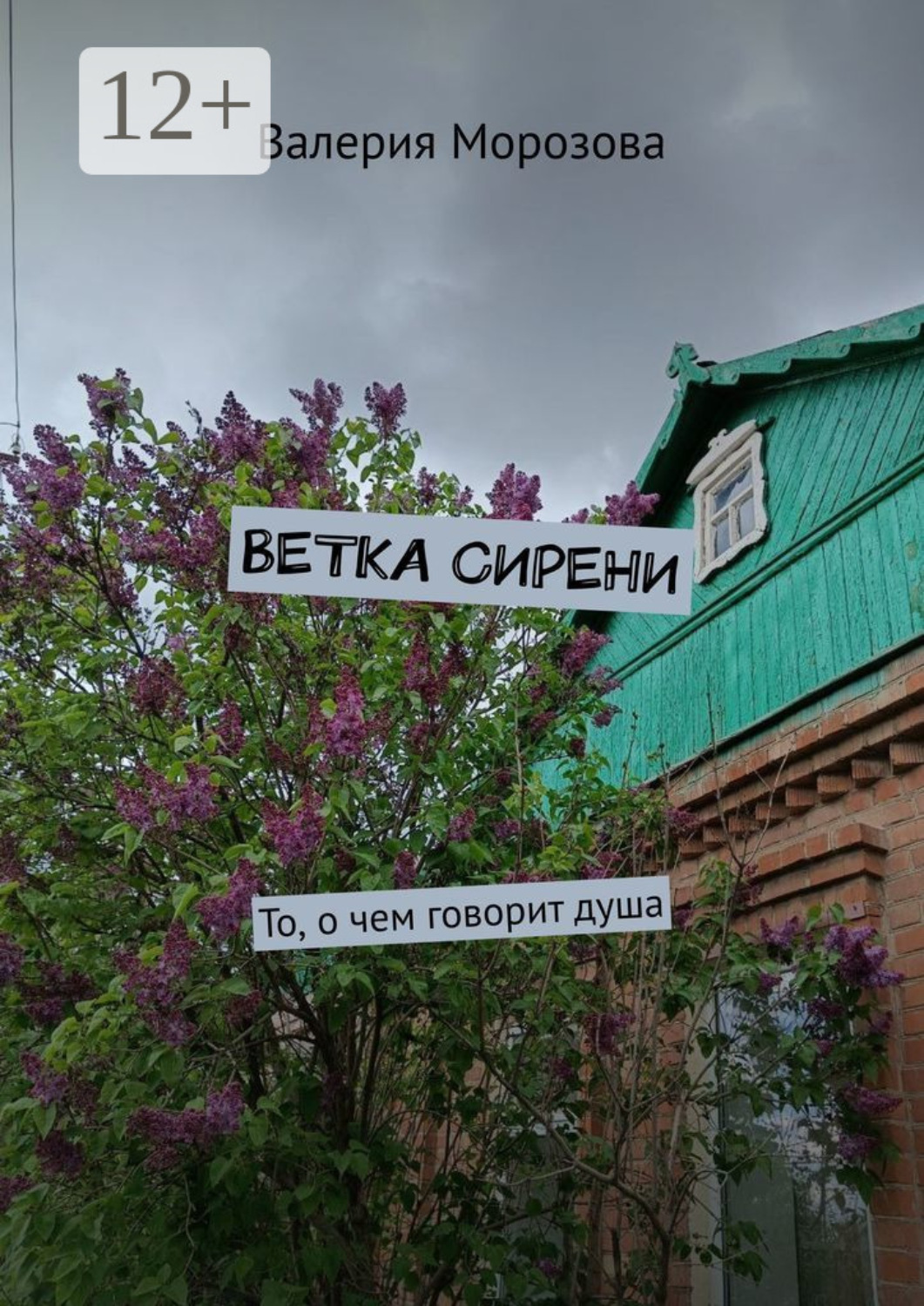 Обложка книги «Ветка сирени. То, о чем говорит душа»