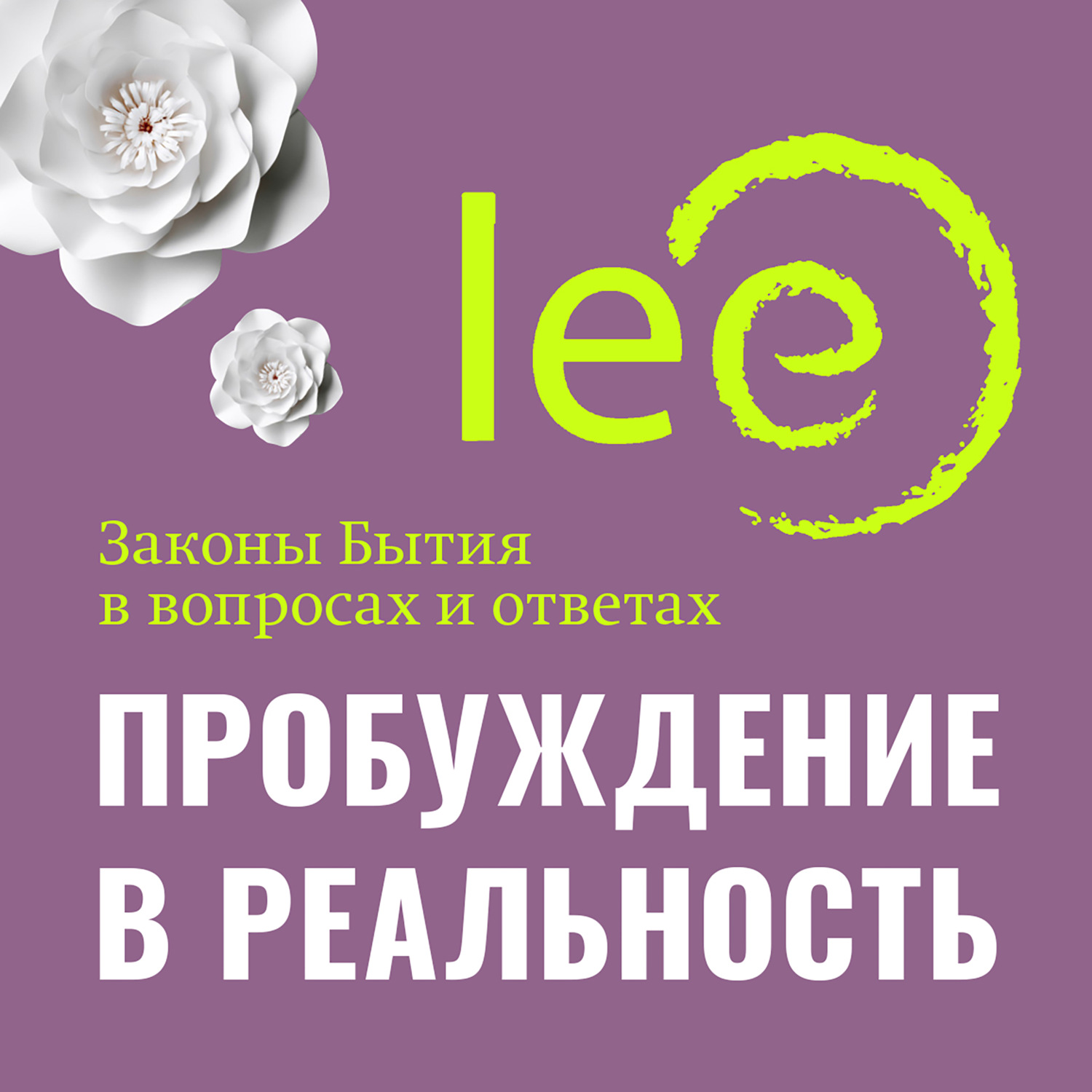 Обложка книги «Пробуждение в реальность. Законы Бытия в вопросах и ответах»