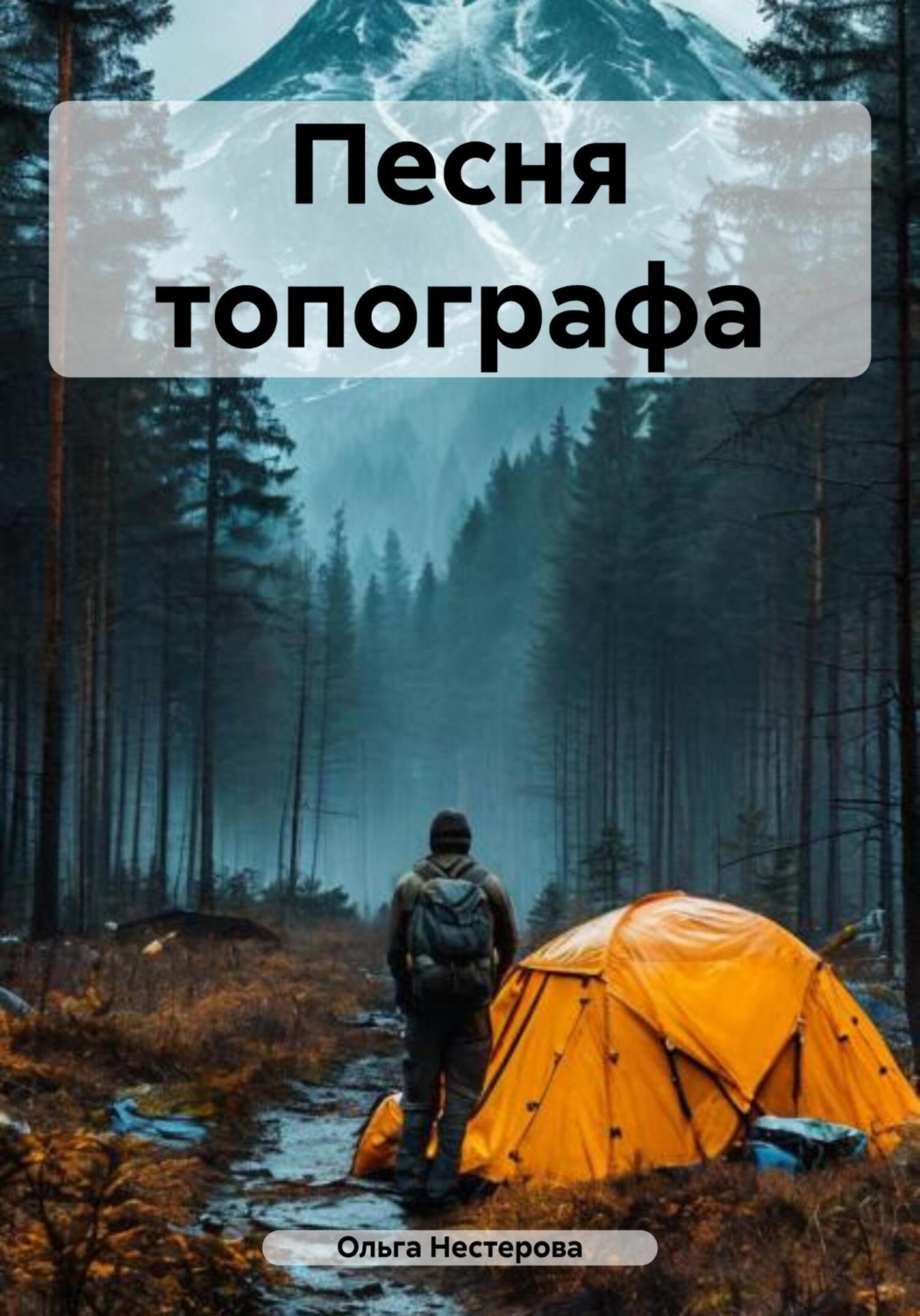 Обложка книги «Песня топографа»