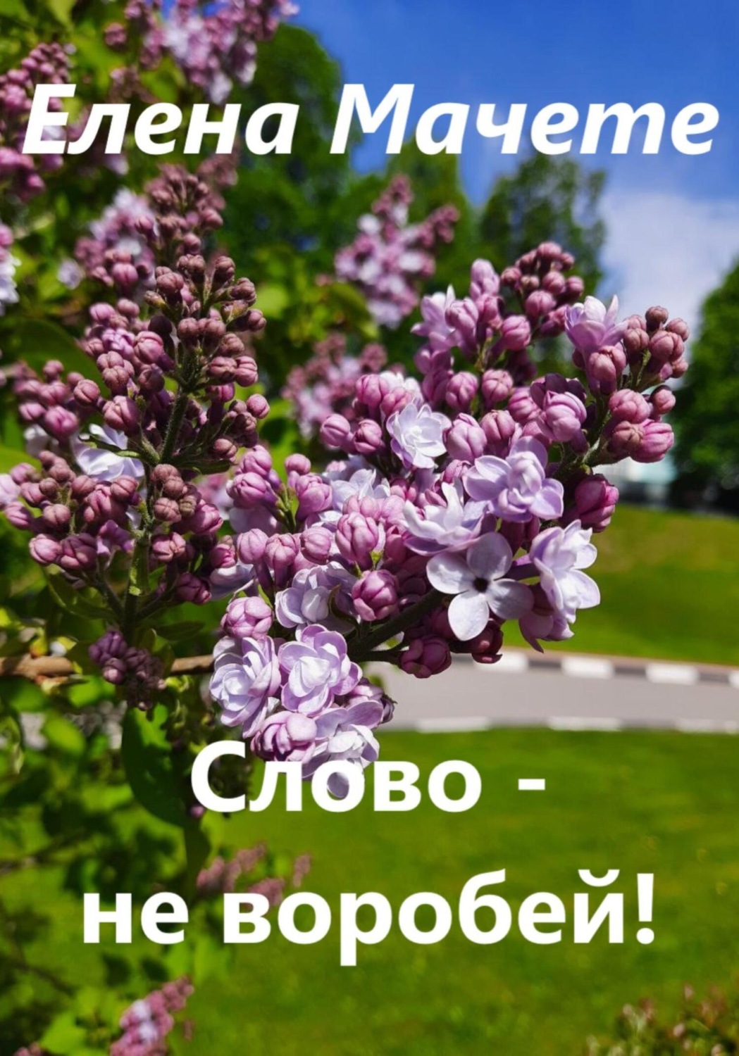 Обложка книги «Слово – не воробей!»
