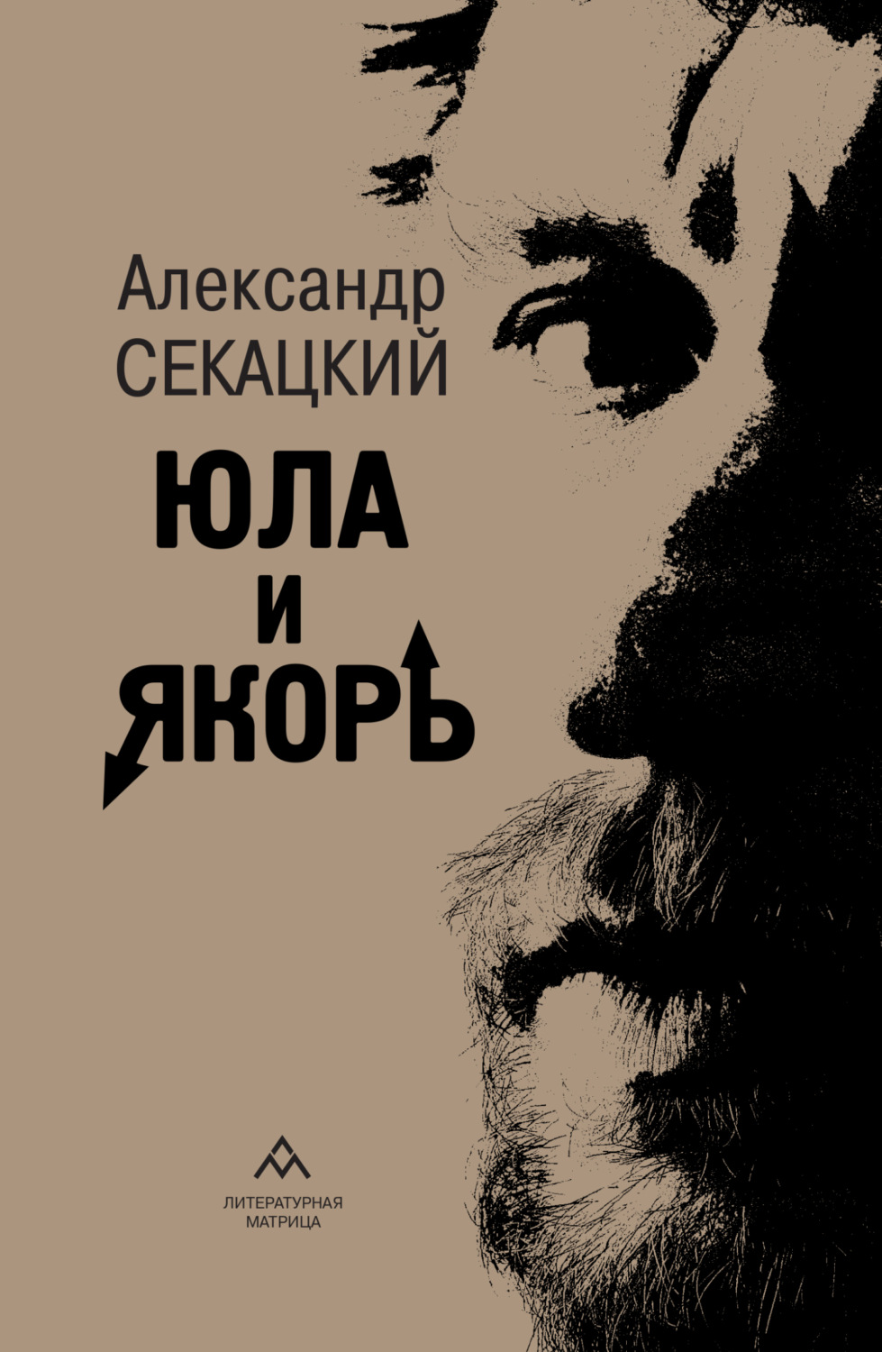 Обложка книги «Юла и якорь. Опыт альтеративной метафизики»