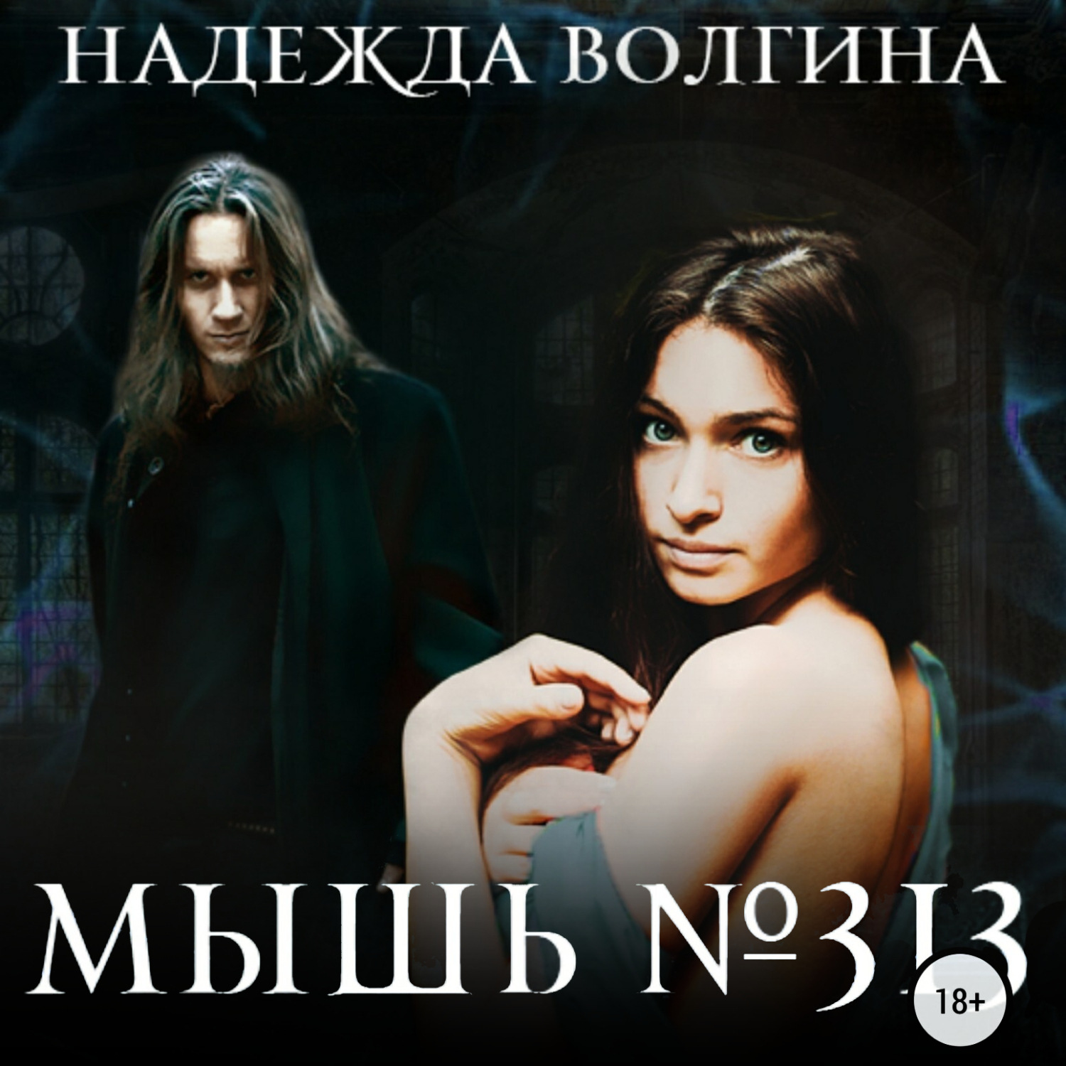 Обложка книги «Мышь №313»