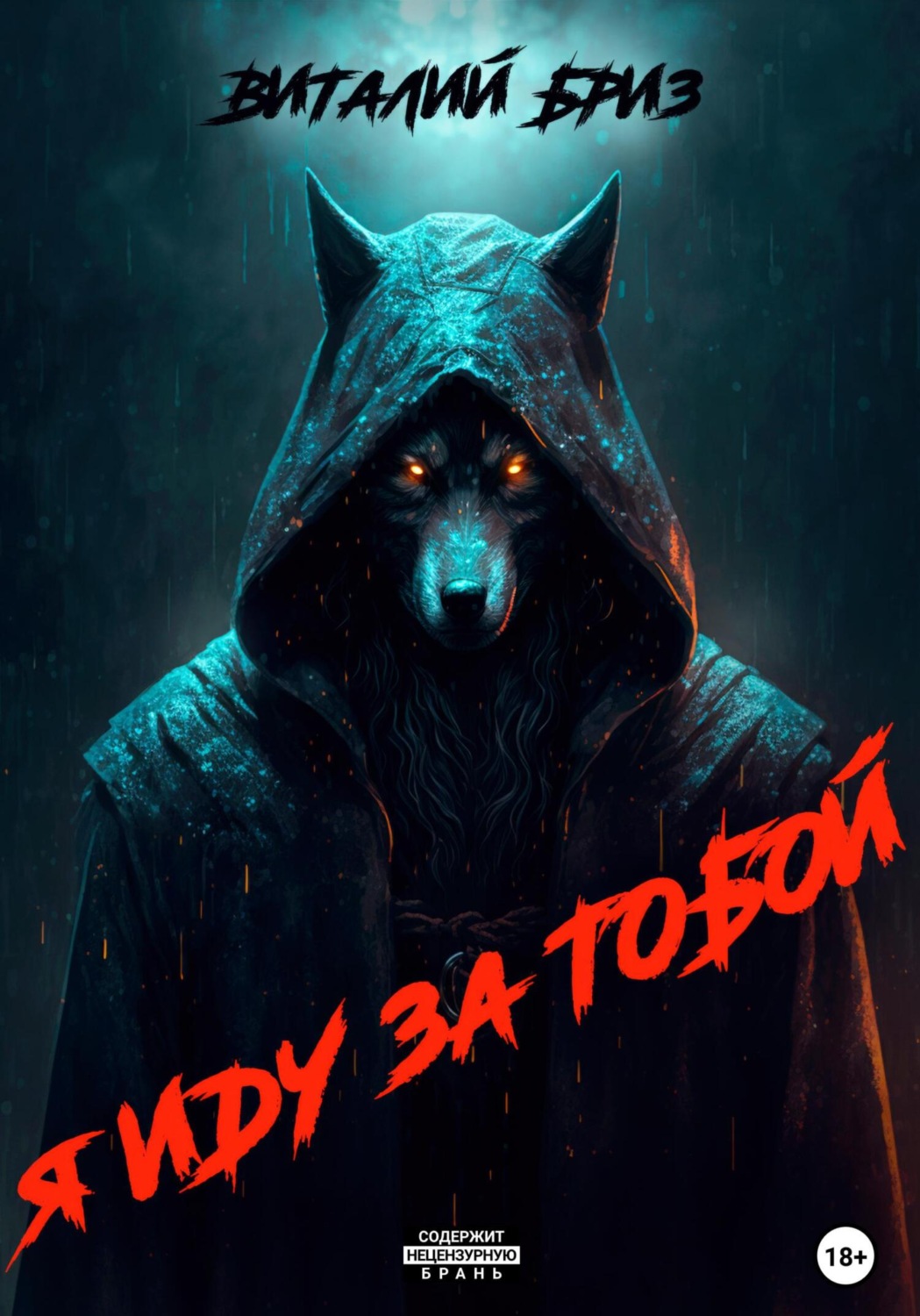 Обложка книги «Я иду за тобой»