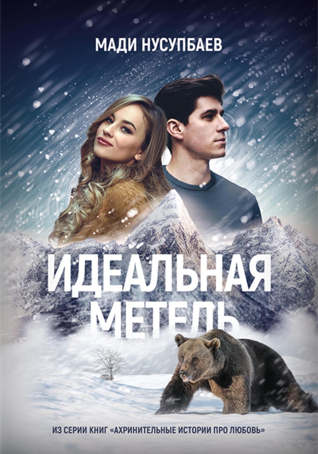 Обложка книги «Идеальная метель»