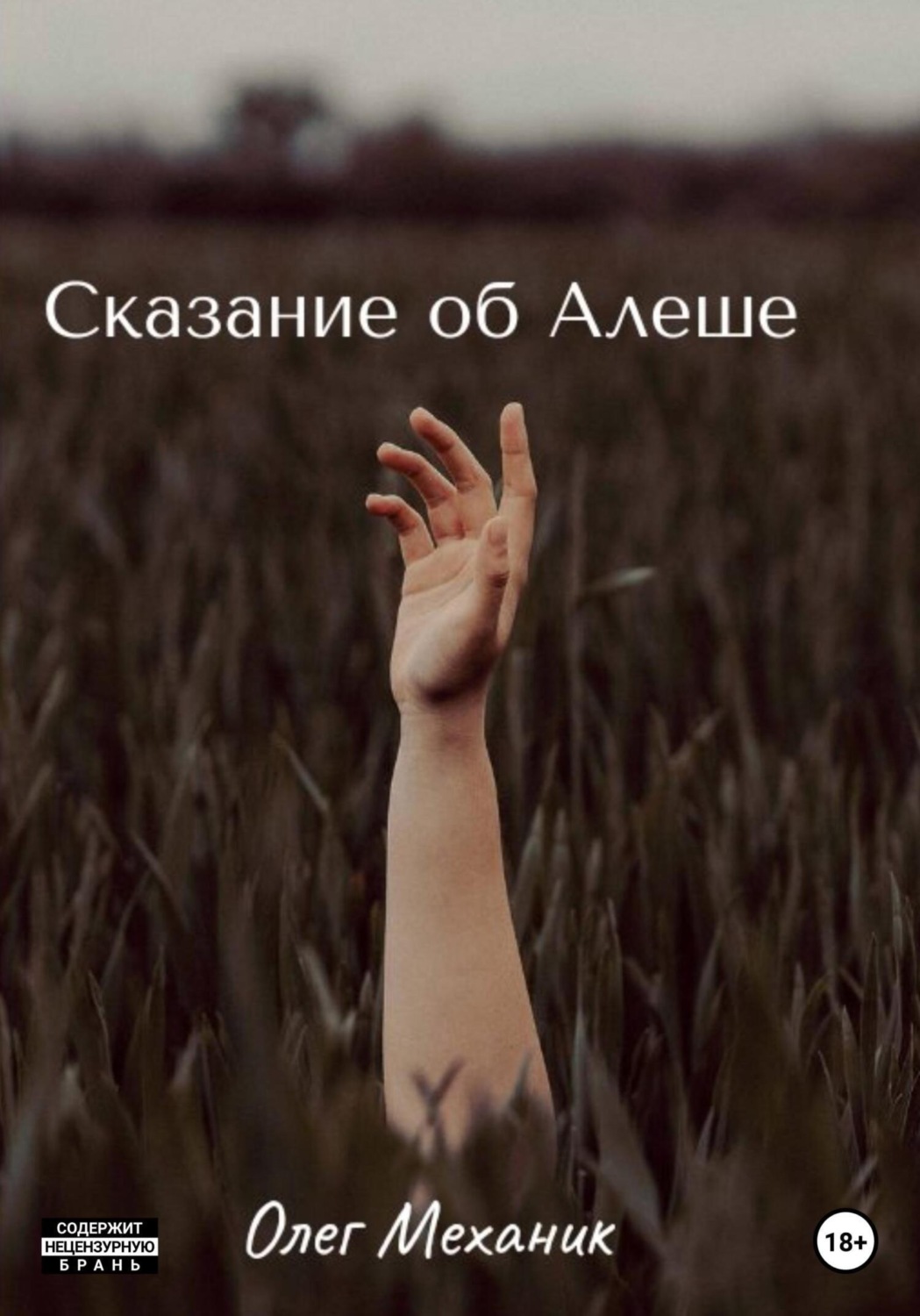 Обложка книги «Сказание об Алёше»